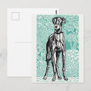 Cartão Postal Vintage Greyhound de Moriz Jung Fundo Azul Turques