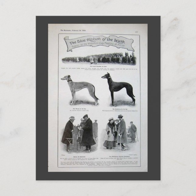 Cartão Postal Vintage Greyhound News Clips (Frente)