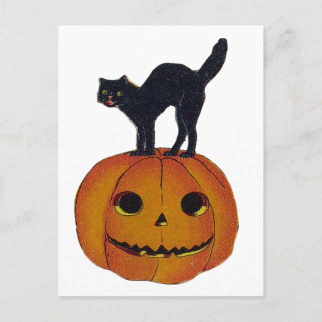 Cartão Postal Vintage Halloween Cat (Frente)