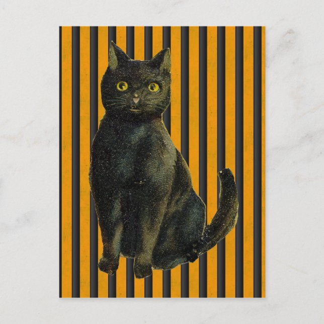 Cartão Postal Vintage Halloween Cat (Frente)