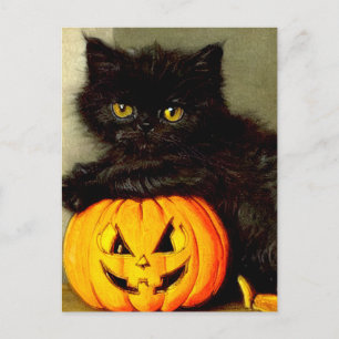 Cartão Postal Vintage Halloween Cat e Jack-o'-lantern