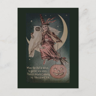 Cartão Postal Vintage Halloween Engraçado ilustração da coruja
