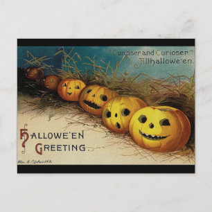 Cartão Postal Vintage Halloween Jack O Lanternas no Campo