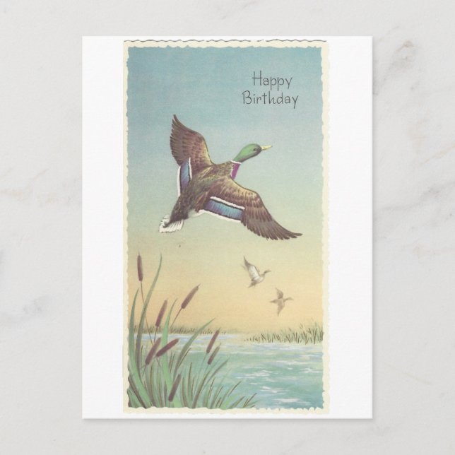 Cartão Postal Vintage Happy Birthday Mallard (Frente)