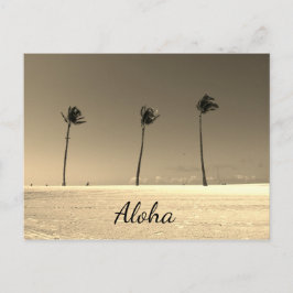 Cartão Postal Vintage Hawaii Aloha
