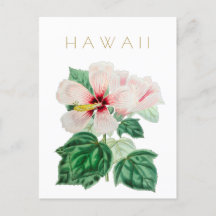 Vintage Hawaii, estado de viagem de flores, Pos