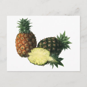 Cartão Postal Vintage Hawaiian Pineapples, Organic Food Fruit