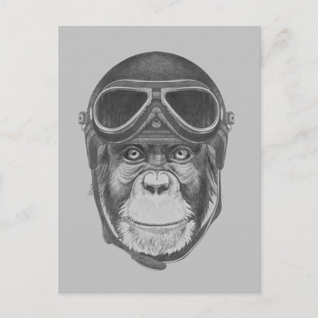 Cartão Postal Vintage Helmet Chimpanzee (Frente)