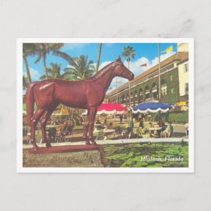 Cartão Postal Vintage Hialeah Florida