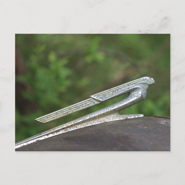 Cartão Postal Vintage Hood Ornament (Frente)