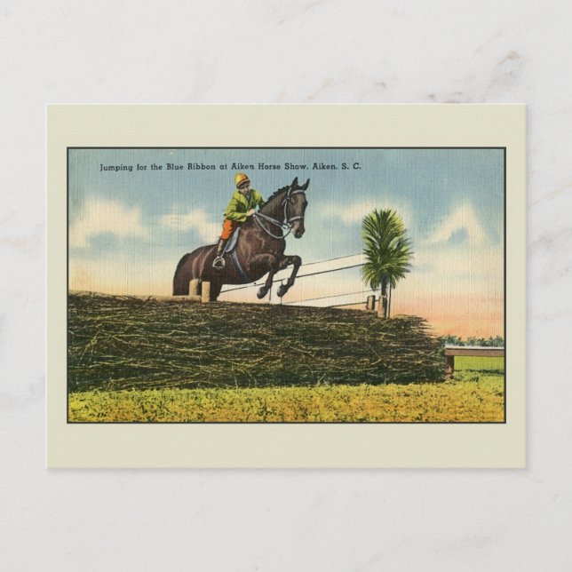 Cartão Postal Vintage Horse Saltando Aikin SC (Frente)