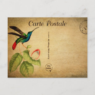 Cartão Postal Vintage Humming Bird Floral Flowers Francês