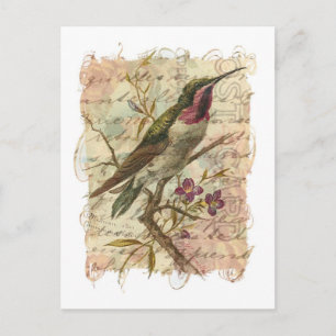 Cartão Postal Vintage Hummingbird