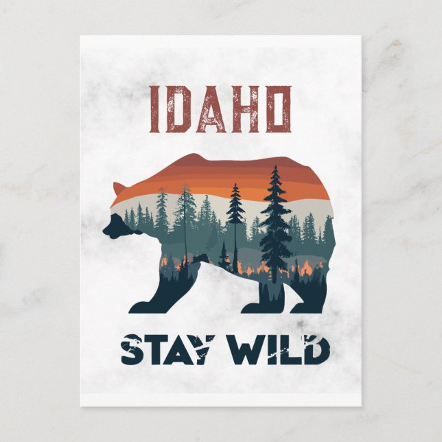 Cartão Postal Vintage Idaho Bear Fica Selvagem Viagem (Frente)