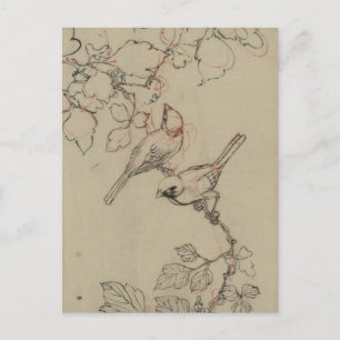 Cartão Postal Vintage - Imagem de Aves Japonesas
