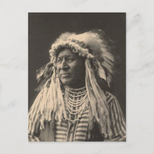 Cartão Postal Vintage indian: Cisne Branco, Corvo -