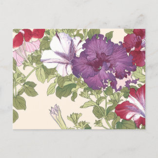 Cartão Postal Vintage Japonês Arte Floral Purple Morning Glórias