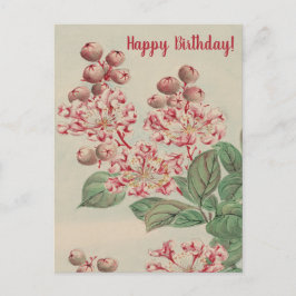 Cartão Postal Vintage Japonês Blossom Cherry Aniversário