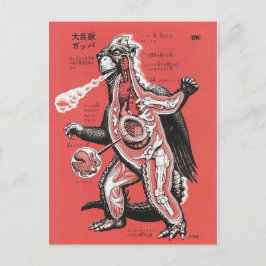 Cartão postal Vintage Japonês Cutaway
