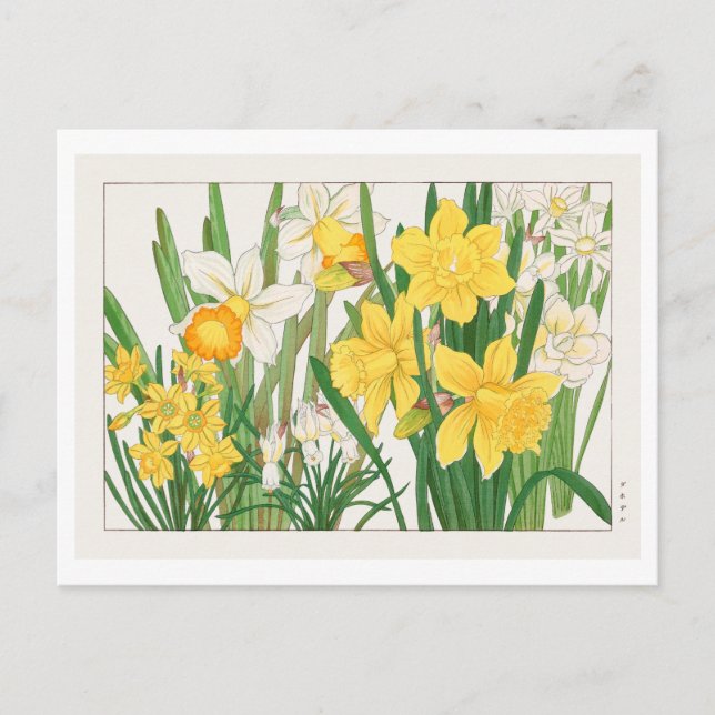 Cartão Postal Vintage Japonês Daffodil Woodblock Impressão (Frente)