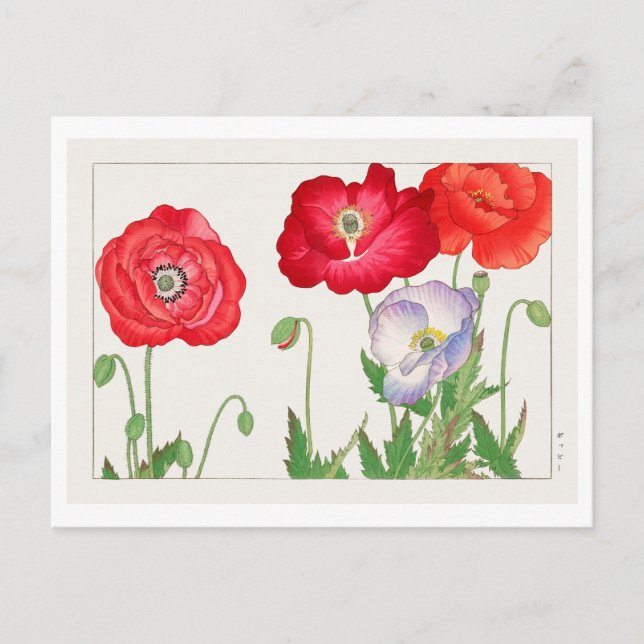 Cartão Postal Vintage Japonês Poppy Woodblock Impressão (Frente)