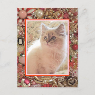 Cartão Postal Vintage Jewelry Photo Design da Cat Lover