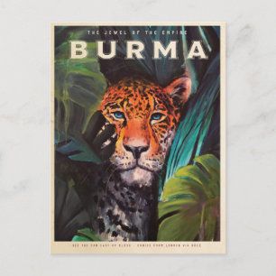 Cartão Postal Vintage jungle leopard