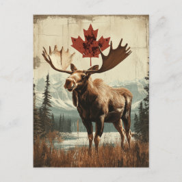 Cartão Postal Vintage Kanada Elch Mit Kanadischem Ahornblatt