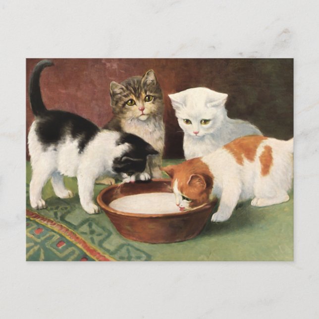 Cartão Postal Vintage Katzen und Milch (Frente)