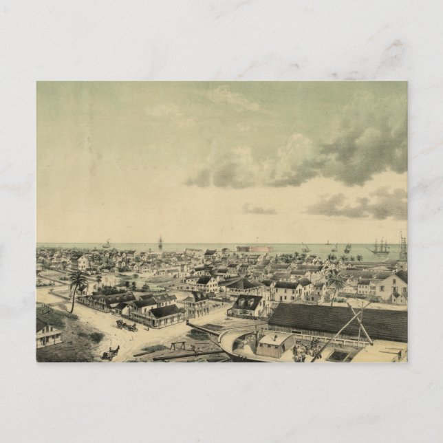 Cartão Postal Vintage Key West Illustration (Frente)