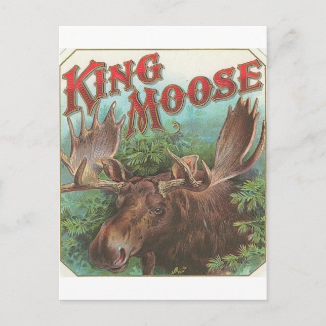 Cartão Postal Vintage King Moose (Frente)