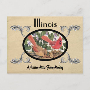 Cartão Postal Vintage Look Old Postcard Estado de Illinois