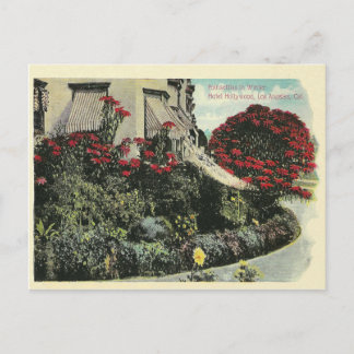 Cartão Postal Vintage Los Angeles California