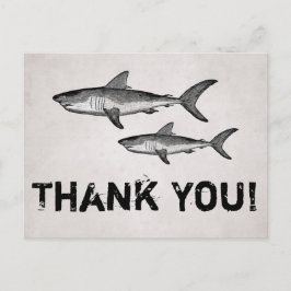 Cartão Postal Vintage Mãe e Bebê Tubarões Ocean Beach Obrigado