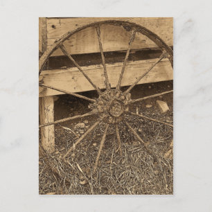 Cartão Postal Vintage Maine