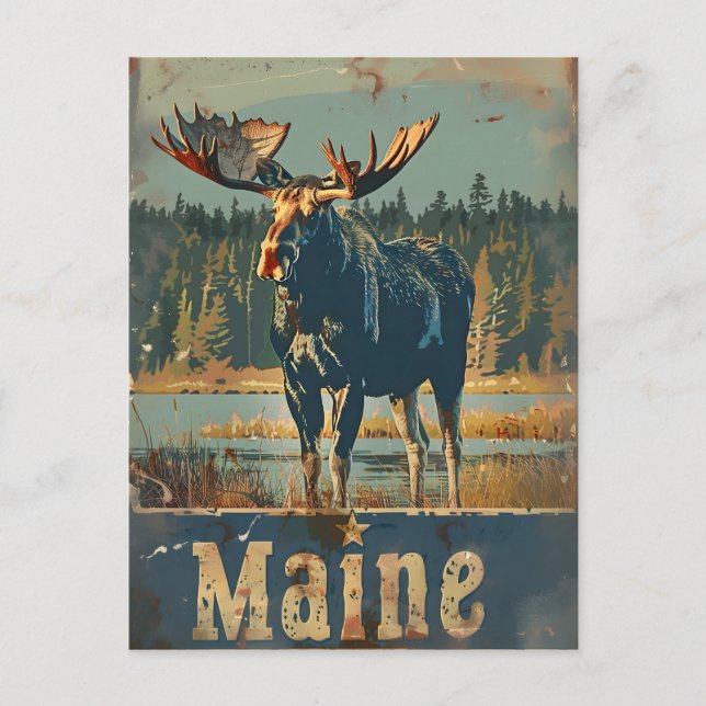 Cartão Postal Vintage Maine Moose (Frente)