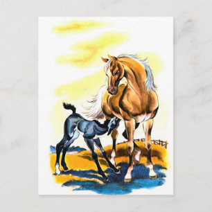 Cartão Postal Vintage Mare Colt Filly Horse Equestre