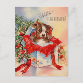 Cartão Postal Vintage Meio século Belo Bebê Boston Terrier