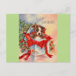 Cartão Postal Vintage Meio século Belo Bebê Boston Terrier