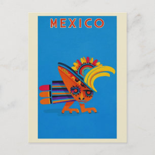 Cartão Postal Vintage Mexico Colorful Bird Viagem