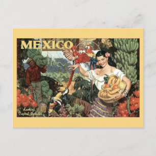 Cartão Postal Vintage México Turismo Tropical Colorida Viagem