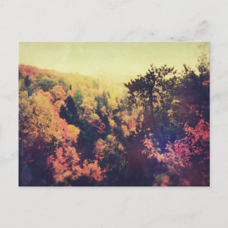 Cartão Postal Vintage Michigan Autumn Trees