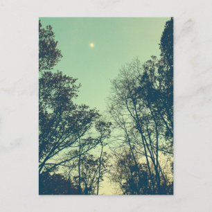 Cartão Postal Vintage Moonlit noite