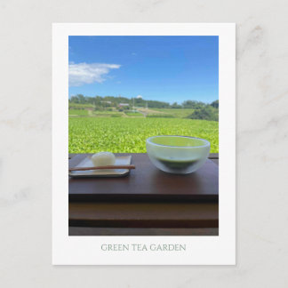 Cartão Postal Vintage Mt Fuji Japan Green Tea Postcard