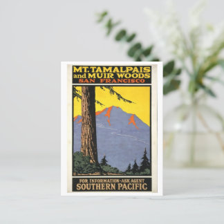 Cartão Postal Vintage Muir Woods & Mt Tamalpais 