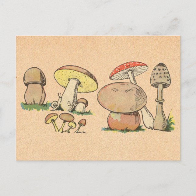 Cartão Postal Vintage Mushroom Impressão (Frente)