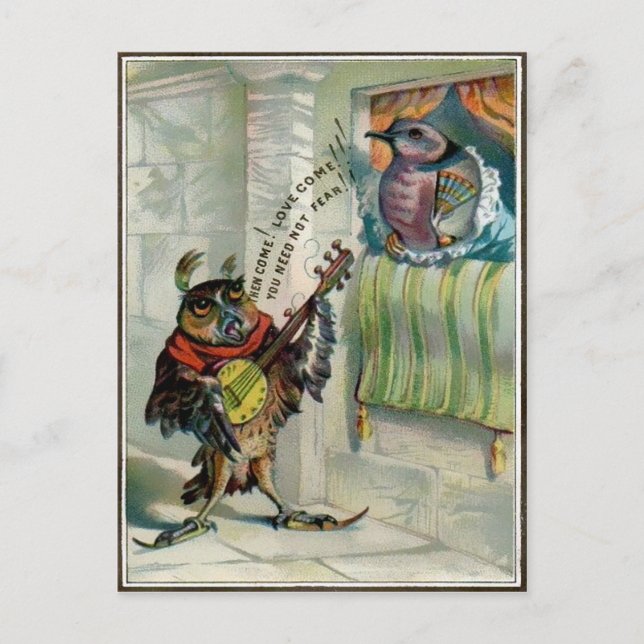 Cartão Postal Vintage Namorados Owl (Frente)