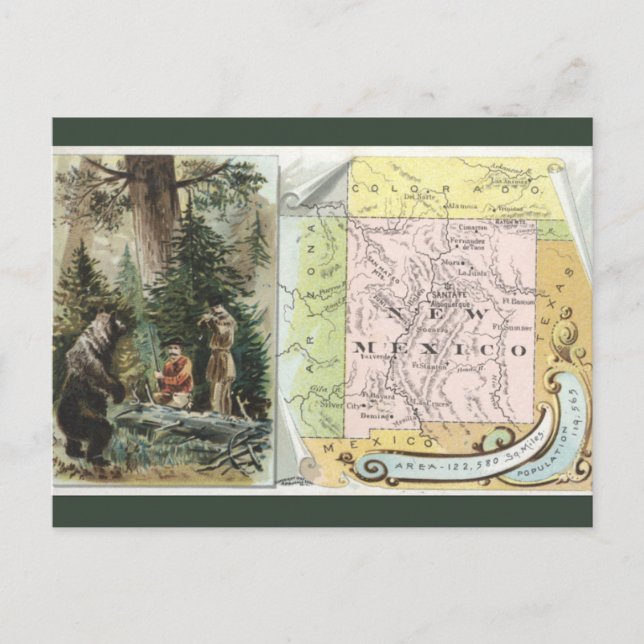 Cartão Postal Vintage New Mexico Map (Frente)