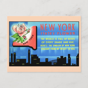 Cartão Postal Vintage New York State Flower e ame poema viagem