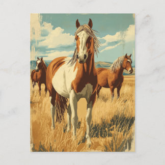 Cartão Postal Vintage North America Wildhorses
